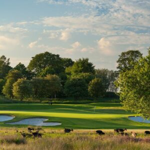 Visitors can expect a warm and friendly welcome here at Ogden and there are various ways in which you can play our beautiful and unique course. Whether you are looking for a simple day of golf or looking to compete in one of our Open Events throughout the year